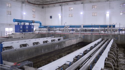 金昌經開區 夯實基礎，優化環境，以專業咨詢賦能高質量發展